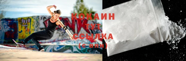 твердый Кулебаки