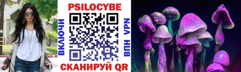 Купить  Шуя  Псилоцибиновые грибы мицелий 