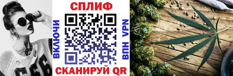 Каннабис MAZAR  Купить закладки  Шуя 